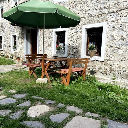 Guesthouse Kujtimi Теті Екстер'єр фото