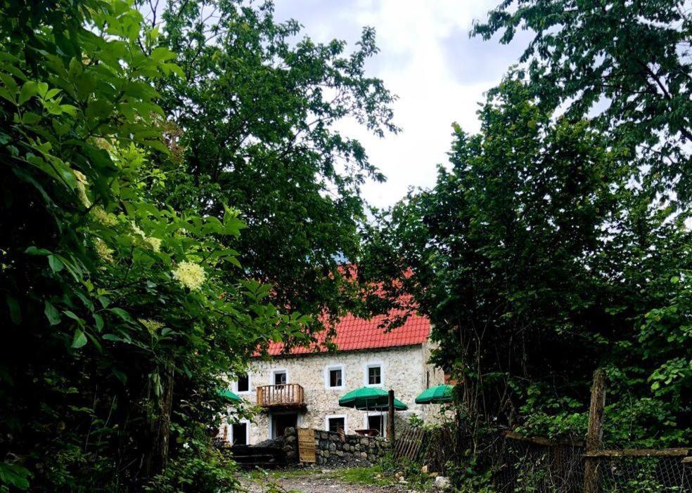 Guesthouse Kujtimi Теті Екстер'єр фото