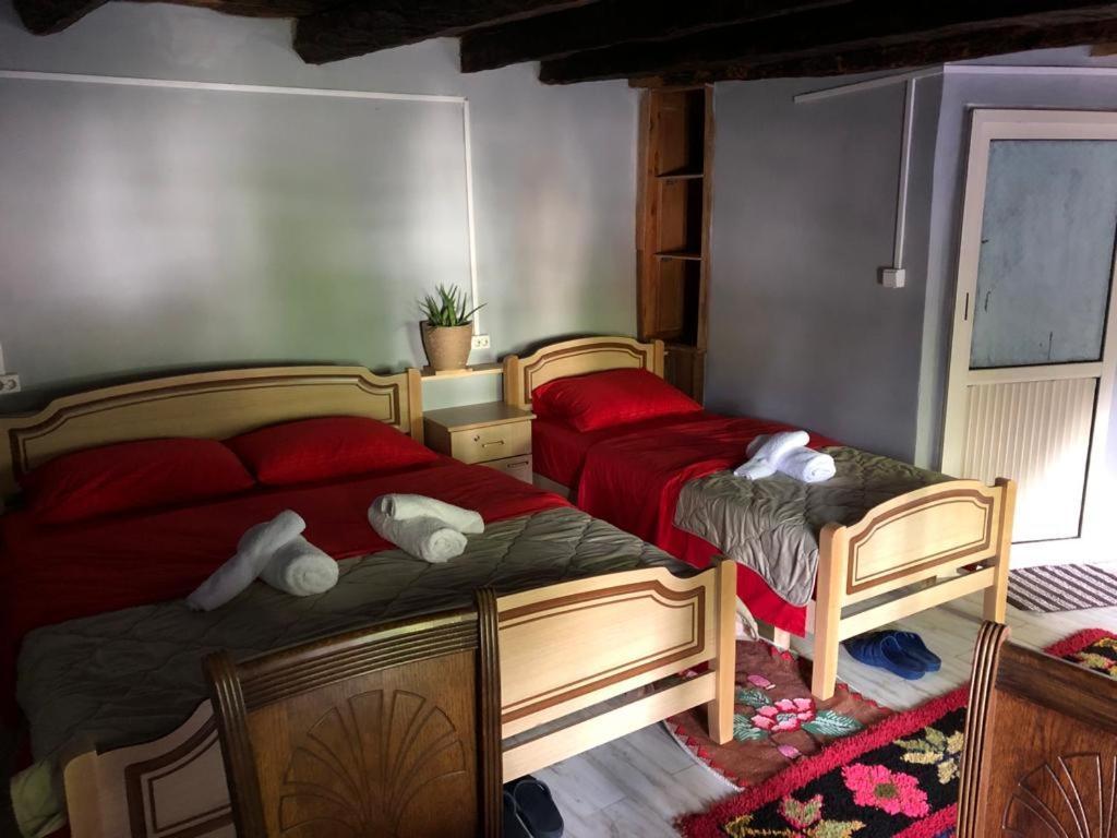 Guesthouse Kujtimi Теті Екстер'єр фото